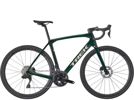 Domane SL 6 Gen 4 - Ivy Smoke