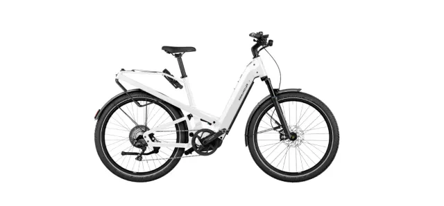 Riese & Muller Homage GT Touring 2024 - RX Chip - Rodi Tryp35 27,5"