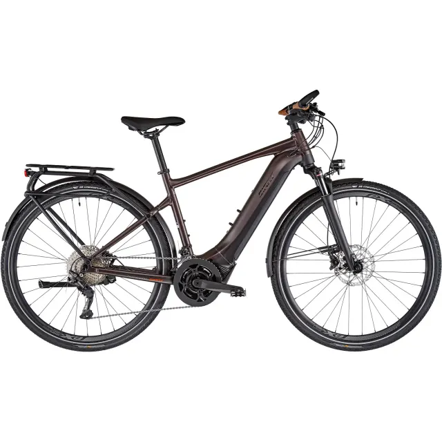 Explore E+ Pro 1 (RC Dash) Hommes - Rosewood / Black Satin-Matt-Gloss