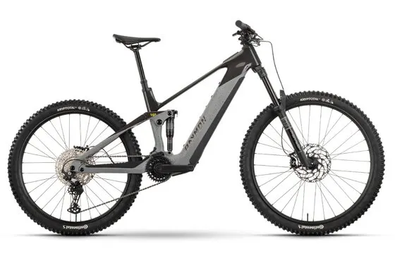 Raymon Tarok - 756 Wh - 29 - 27,5 Zoll - Fully