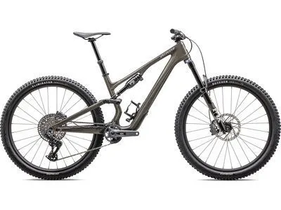 Specialized Stumpjumper 15 Expert - 29/29, gunmetal/white mountains