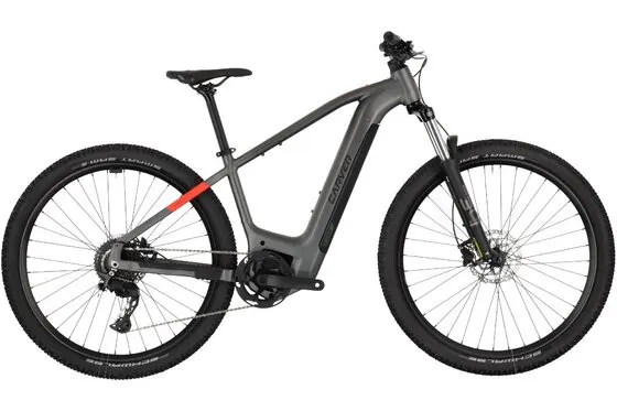 Carver Strict E.520 - B-Ware - 625 Wh - 29 Zoll - Diamant
