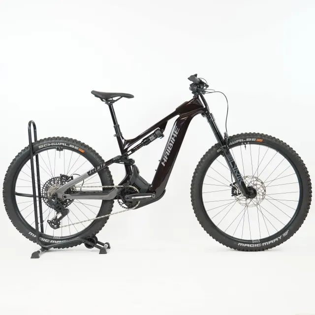 Haibike Allmtn CF 9 black platinum Testrad 2025 - SRAM S1000 Eagle AXS T-Type 1x12sp - 29"/27.5"