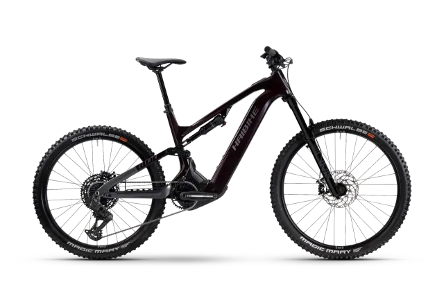 Haibike ALLMTN CF 9 High - noir/platinum brillant